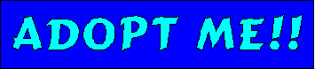 volunteer