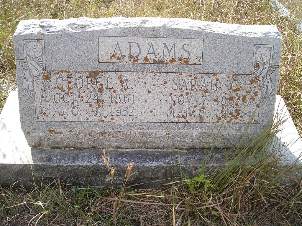 Sarah Adams