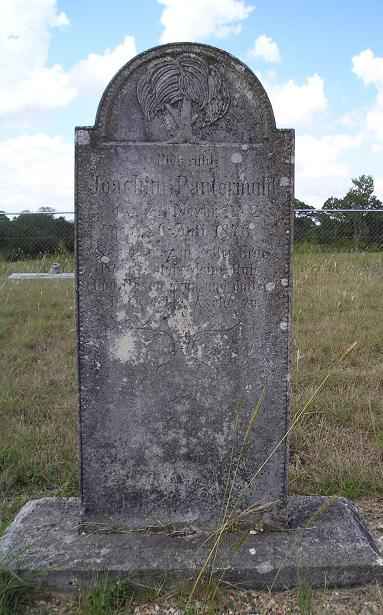 Pantermuhl1