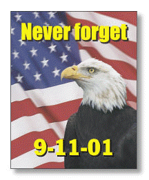 Never Forget 911