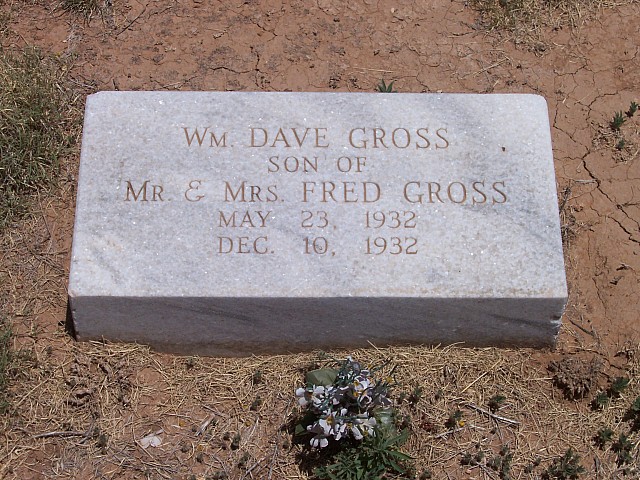 Wm. Dave Gross, Floyd County, Texas
