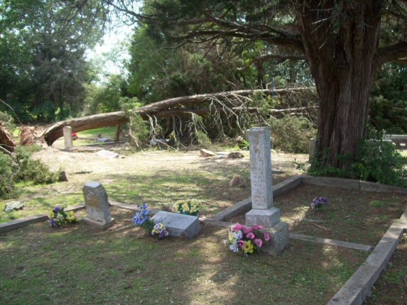 Baldwin Family plot